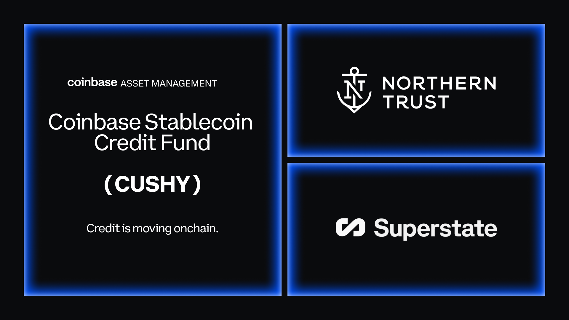 Private Stablecoin Strategy